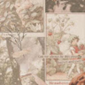 Meet your Posher, Lucy